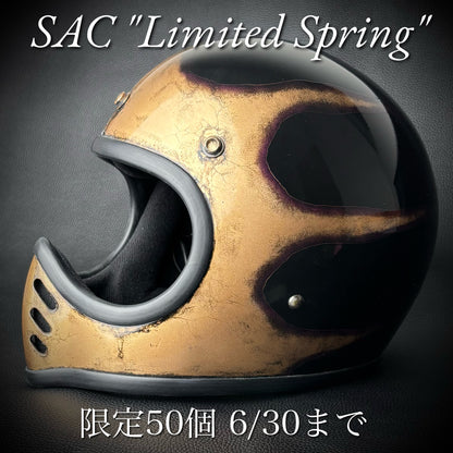 【期間限定】OCEAN BEETLE-MTX｜スキャロップ《ブラスゴールド×ディープパープルスモークライン》